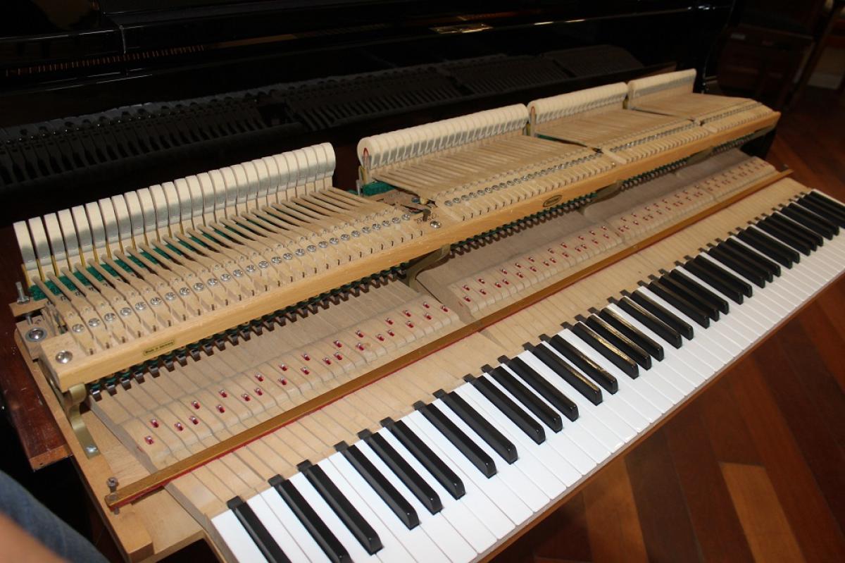 Euterpe_190___mécanique__