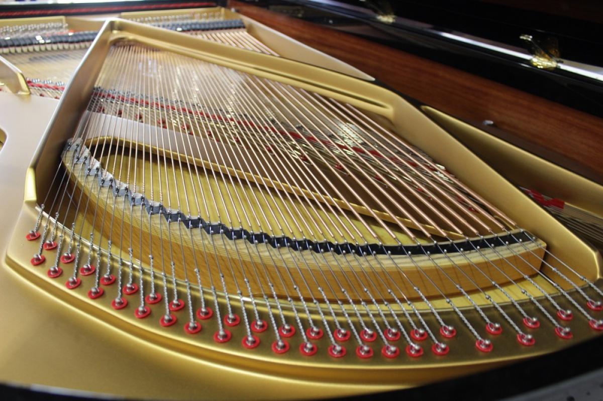 Euterpe_190___vue_cordes_basses__