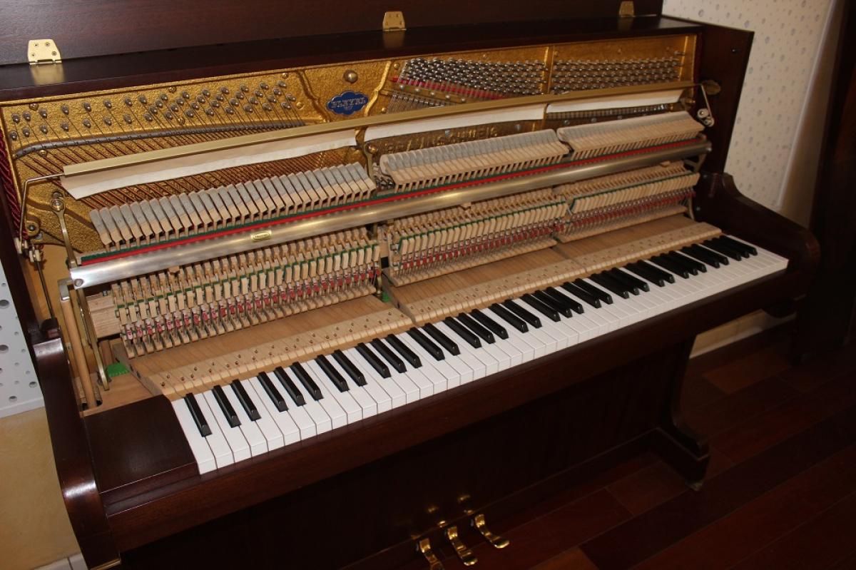 Pleyel-Schimmel_Matignon_acajou_n°_233957..