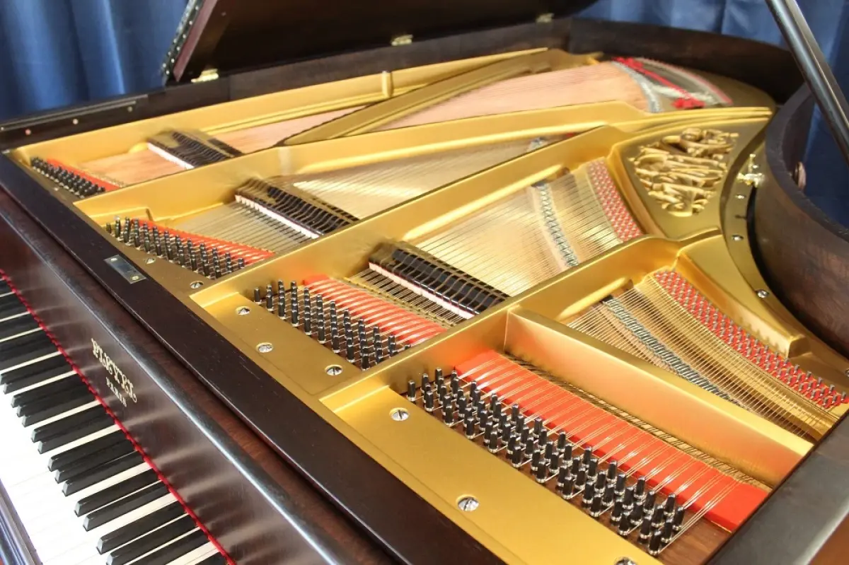 Pleyel_modèle_3___structure__