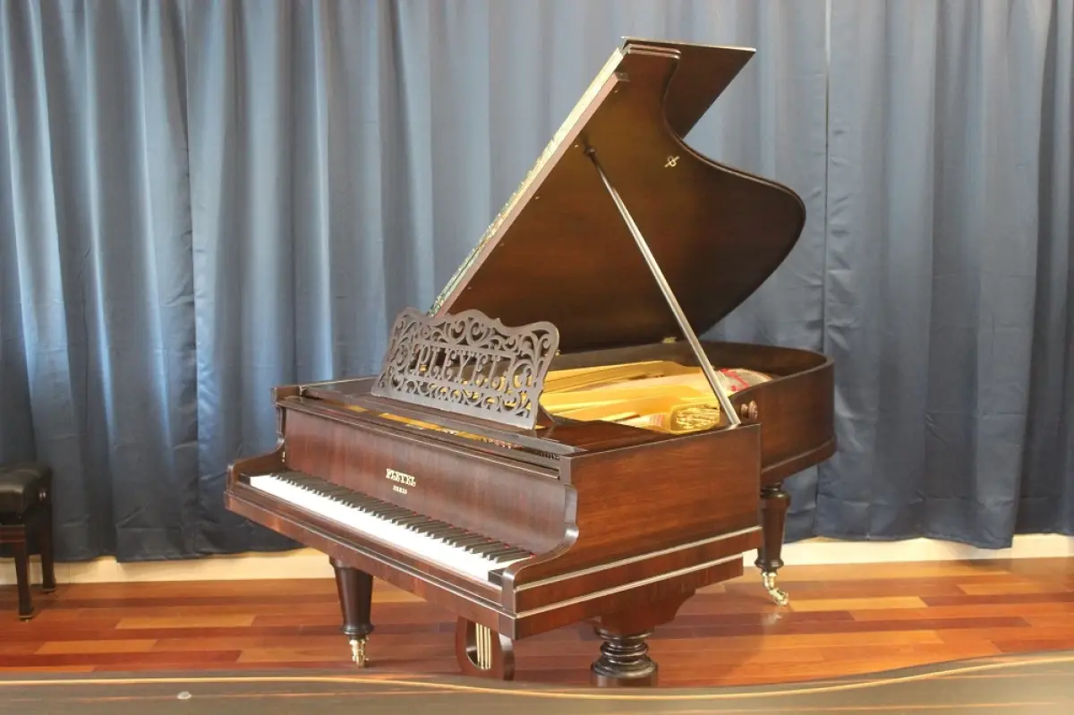 Pleyel_modèle_3___vue_d_ensemble__