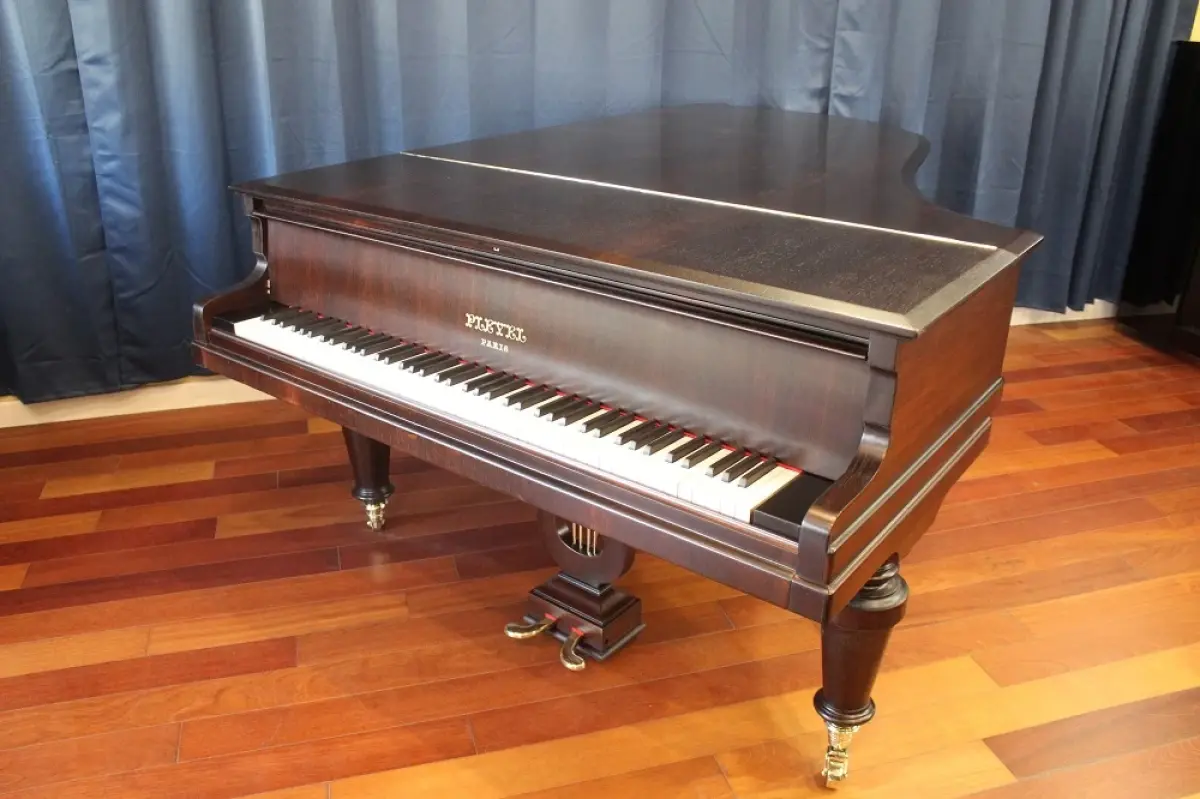 Pleyel_modèle_3___vue_de_dessus_cylindre_ouvert__