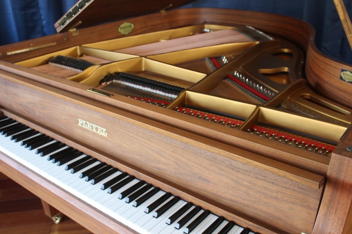 Schimmel_Vendôme___vue_d_ensemble__