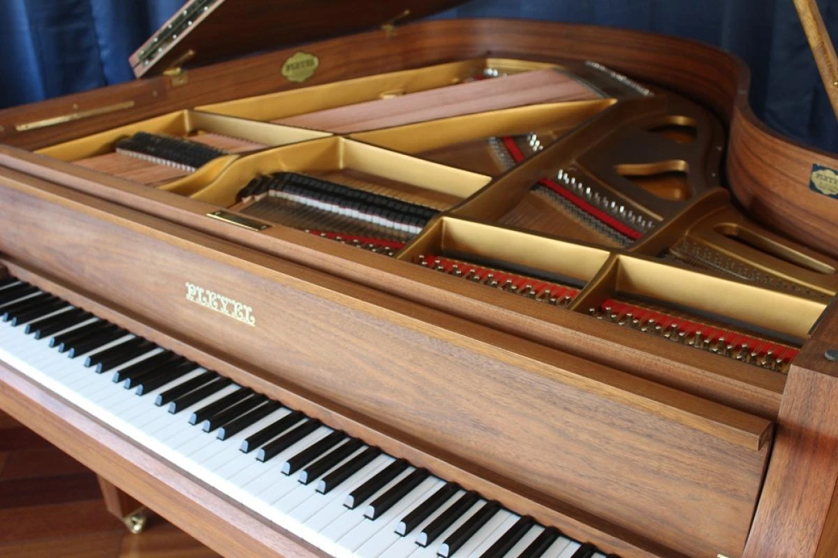 Schimmel_Vendôme___vue_d_ensemble__