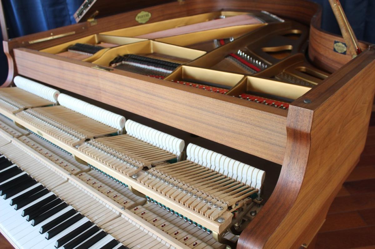 Schimmel_Vendôme___vue_mécanique__