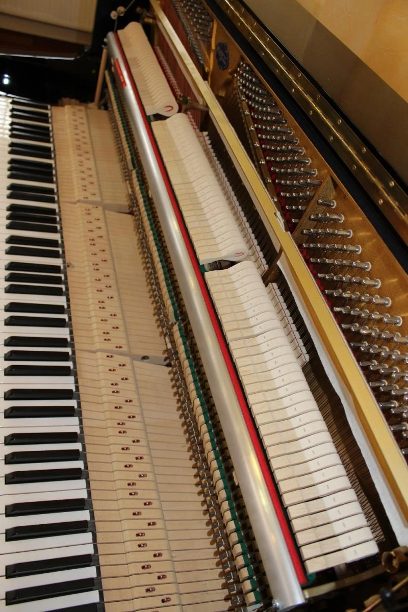 pLEYEL_mATIGNON